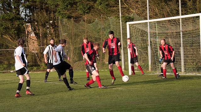 期发展贡献 期发展贡献