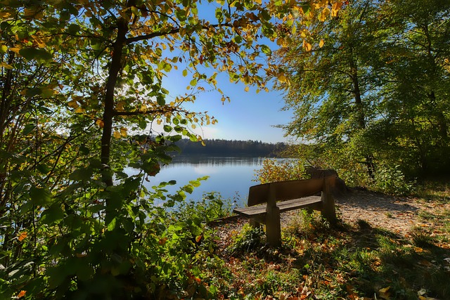 无疑成为了 无疑成为了